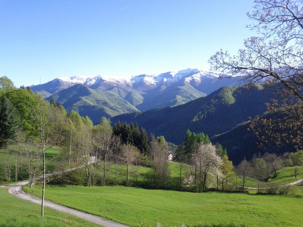Il Campo Della Quercia 3*